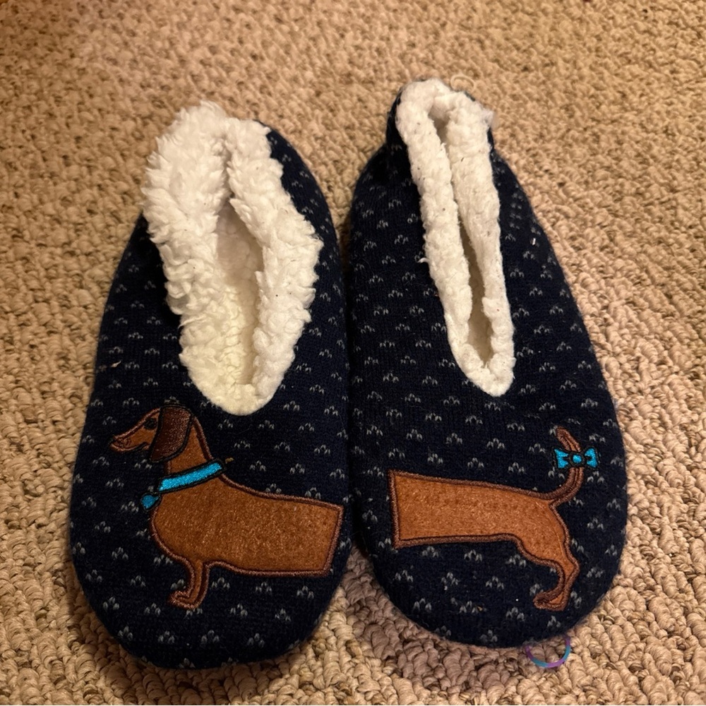 Cute Dachshund slipper set.